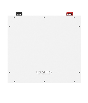 Pin lưu trữ Dyness 5.12kwh - DL5.0C